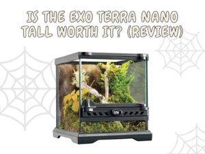 exo terra nano tall enclosure review